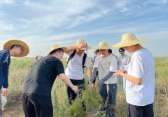 研学勾当和和科学家