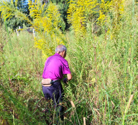 提高辖区群态 提高辖区群态
